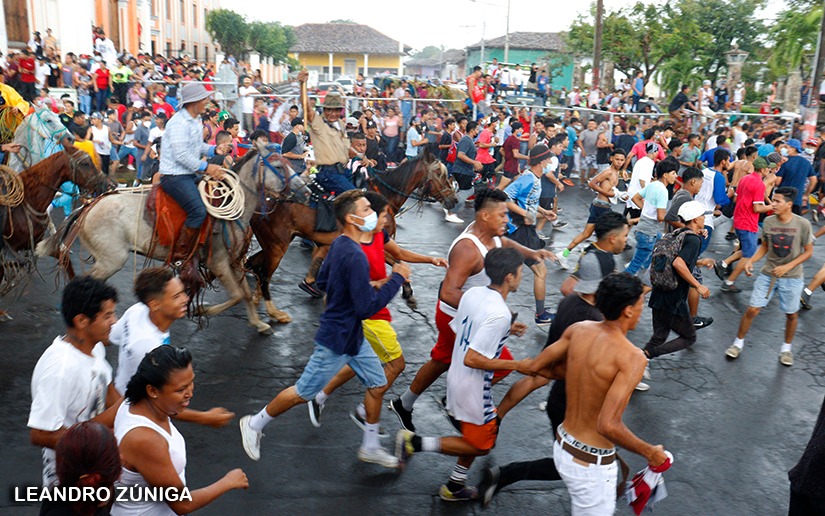 toros